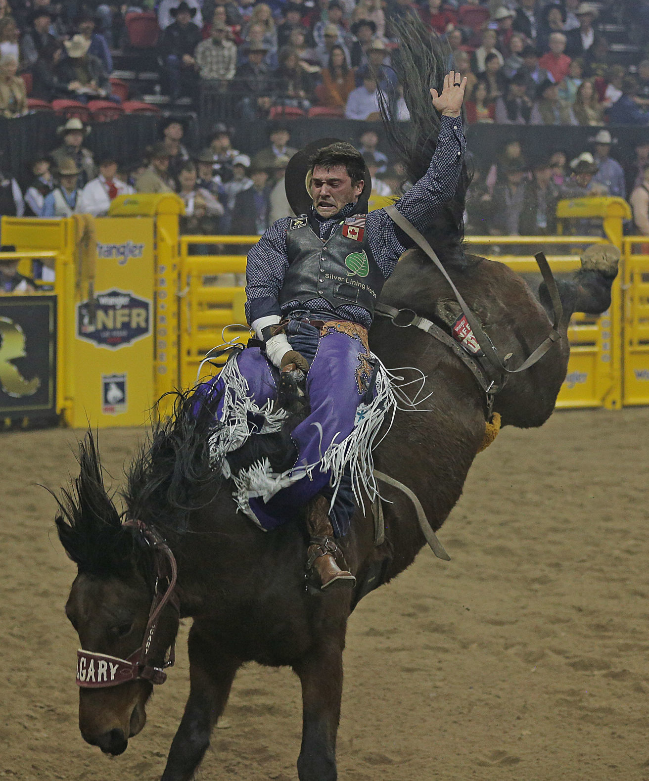 Wrangler National Finals Rodeo — Round 6 — Caleb Bennett 01.jpg